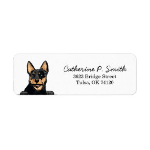 Australian Cattle Dog Return Address