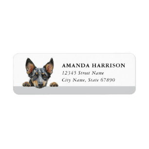 Australian Cattle Dog Return Address Labels