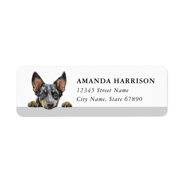 Australian Cattle Dog Return Address Labels (Front)