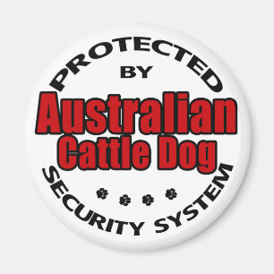 Australian Cattle Dog Security Magnet