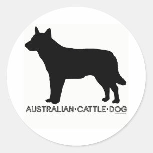 Australian Cattle Dog Sticker