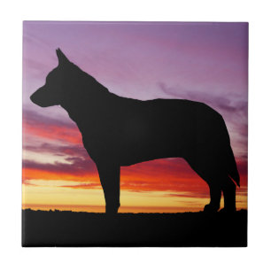 Australian Cattle Dog Tile