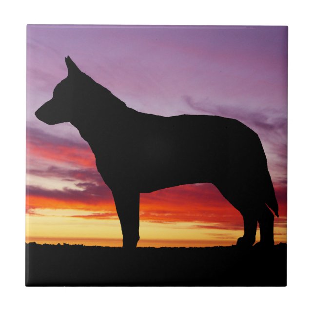 Australian Cattle Dog Tile (Front)