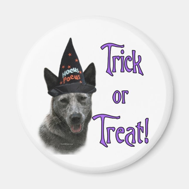 Australian Cattle Dog Trick Magnet (Front)
