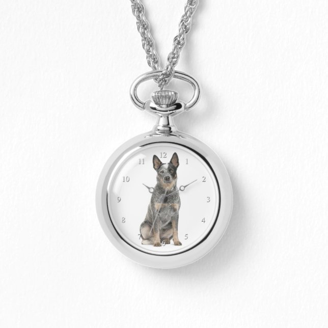 Australian Cattle Dog Watch (Front)