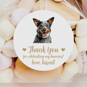 Australian Cattle Dog Wedding Favour Stickers