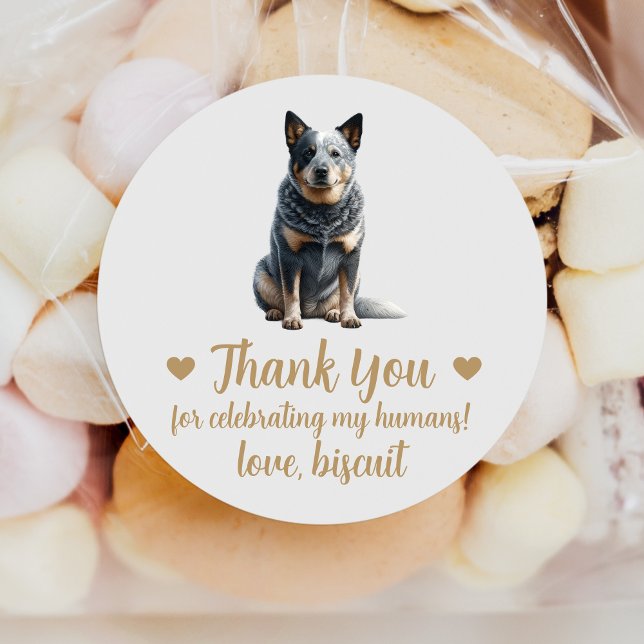 Australian Cattle Dog Wedding Favour Stickers (Creator Uploaded)