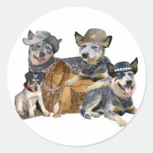 Australian Cattle Dog Western Portrait Classic Round Sticker