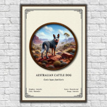 Australian Cattle Dog Zoology Series