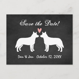 Australian Cattle Dogs Wedding Save the Date Announcement Postcard