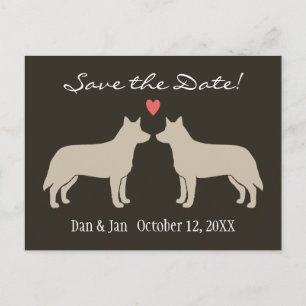 Australian Cattle Dogs Wedding Save the Date Announcement Postcard