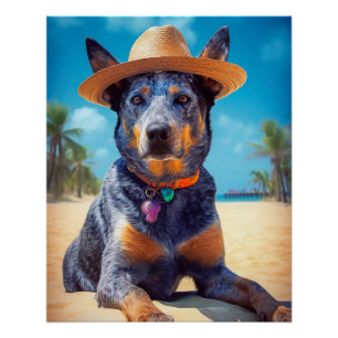 Australian Cattle on Beach,dog lovers summer gift Poster