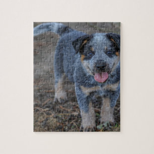 Australian Cattle Puppy Dog Jigsaw Puzzle