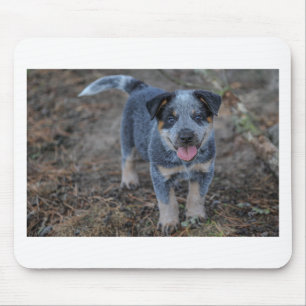 Australian Cattle Puppy Dog Mouse Mat
