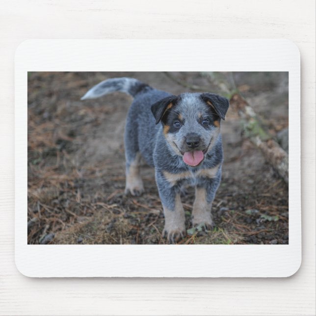 Australian Cattle Puppy Dog Mouse Mat (Front)