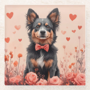 Australian Cattle with Roses - Valentine's Day Glass Coaster