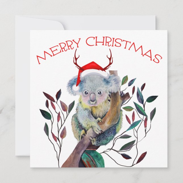 Australian Christmas Koala Santa Hat Red Green Card (Front)