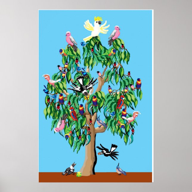 Australian Christmas tree Poster (Front)