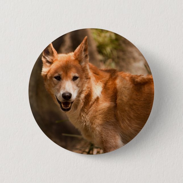 Australian Dingo badge (Front)