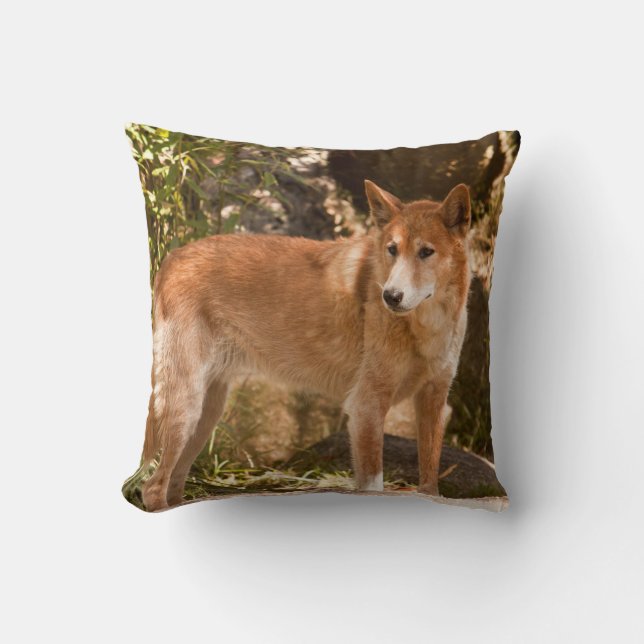 Australian dingo throw pillow (Front)