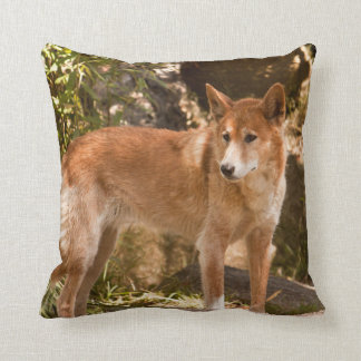 Australian dingo throw pillow