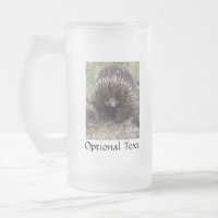 Australian Echidna Cute Animal Photo