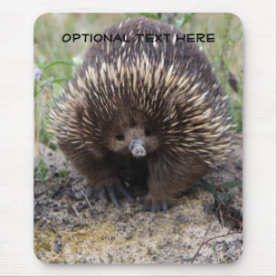 Australian Echidna Cute Animal Photo Mouse Mat