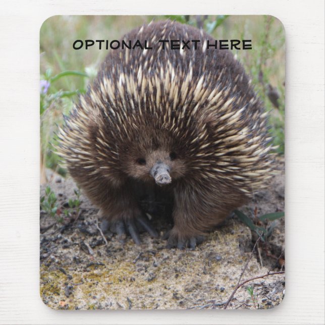 Australian Echidna Cute Animal Photo Mouse Mat (Front)