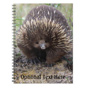 Australian Echidna Cute Animal Photo Notebook