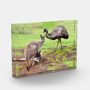 Australian Emu And Kangaroos, Photo Block