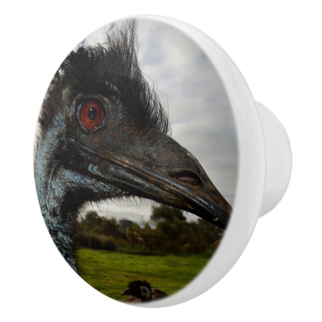 Australian Emu Twinkles, Ceramic Knob (Right)