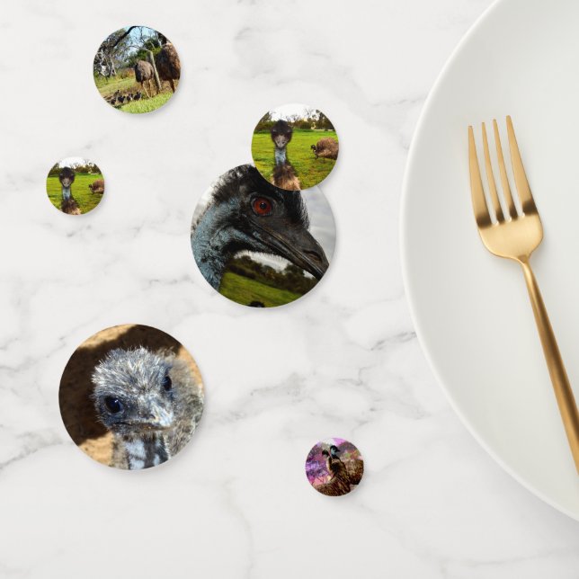 Australian Emus, Birthday Table Confetti  (Group)