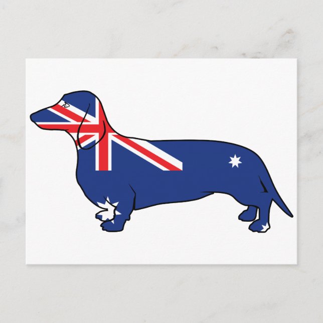 Australian Flag Dachshund Postcard (Front)