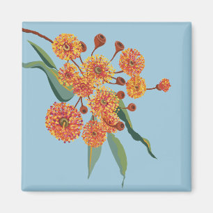 Australian gum tree blossoms magnet