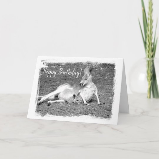 Australian Kangaroo Greeting Birthday Card Zazzle.co.uk