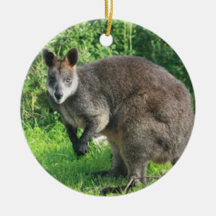 Australian Kangaroo Ornament