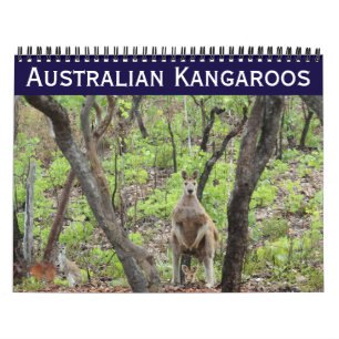 australian kangaroos 2027 calendar