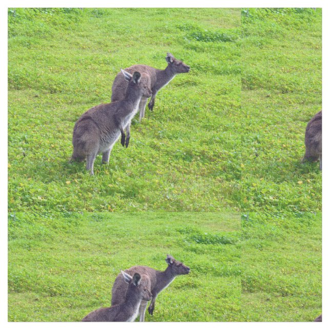 Australian Kangaroos On Green Pasture, Fabric (Close Up)