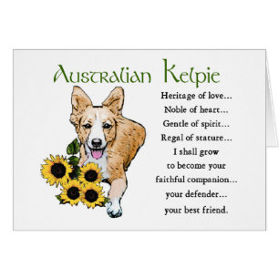 Australian Kelpie Art Gifts