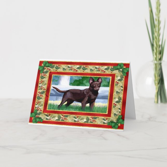 Australian Kelpie Dog Blank Christmas Card (Front)