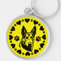 Australian Kelpie Dog 