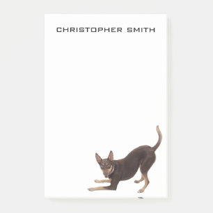 Australian Kelpie Dog Post-it Notes