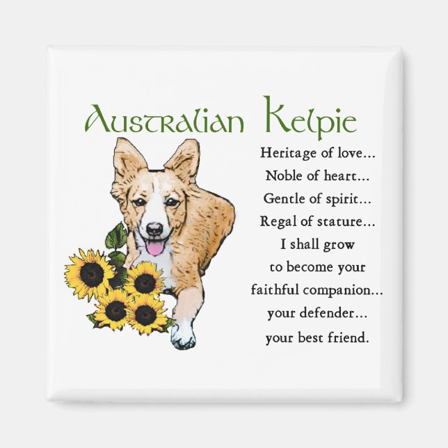 Australian Kelpie Gifts Magnet (Front)