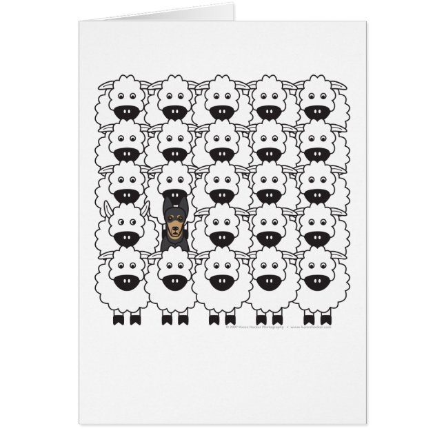 Australian Kelpie in the Sheep (Front)