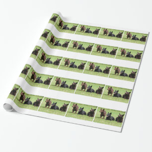 Australian Kelpie Puppies Wrapping Paper