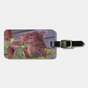 Australian koala and baby luggage tag