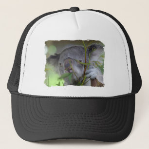 Australian Koala Baseball Hat