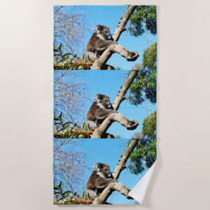Australian Koala Bear In Old Pine Tree, Beach Towel