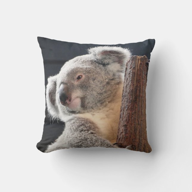 Australian Koala Cushion (Front)