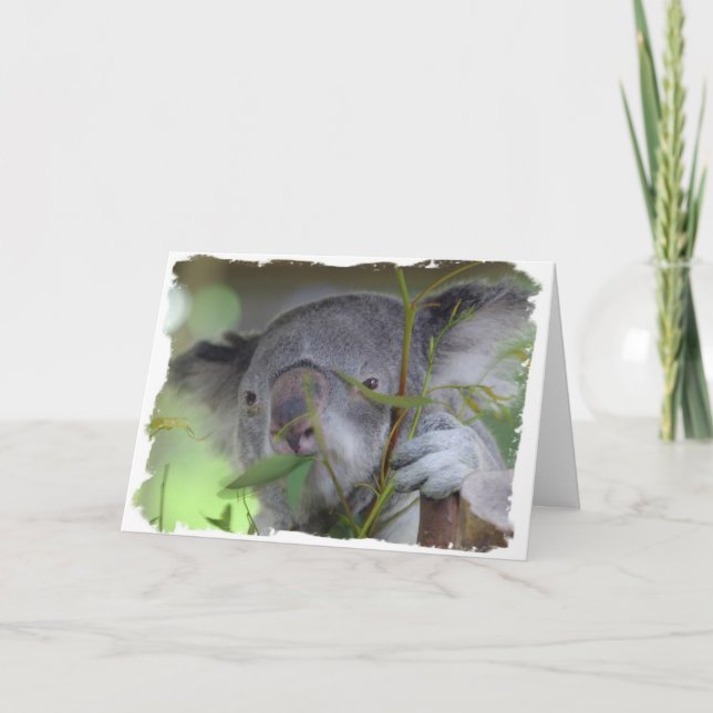 Australian Koala Greeting Card (Front)